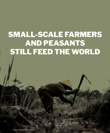 Det er fremdeles småskala landbruk og tradisjonelle metoder som gir mat til mesteparten av verdens befolkning.